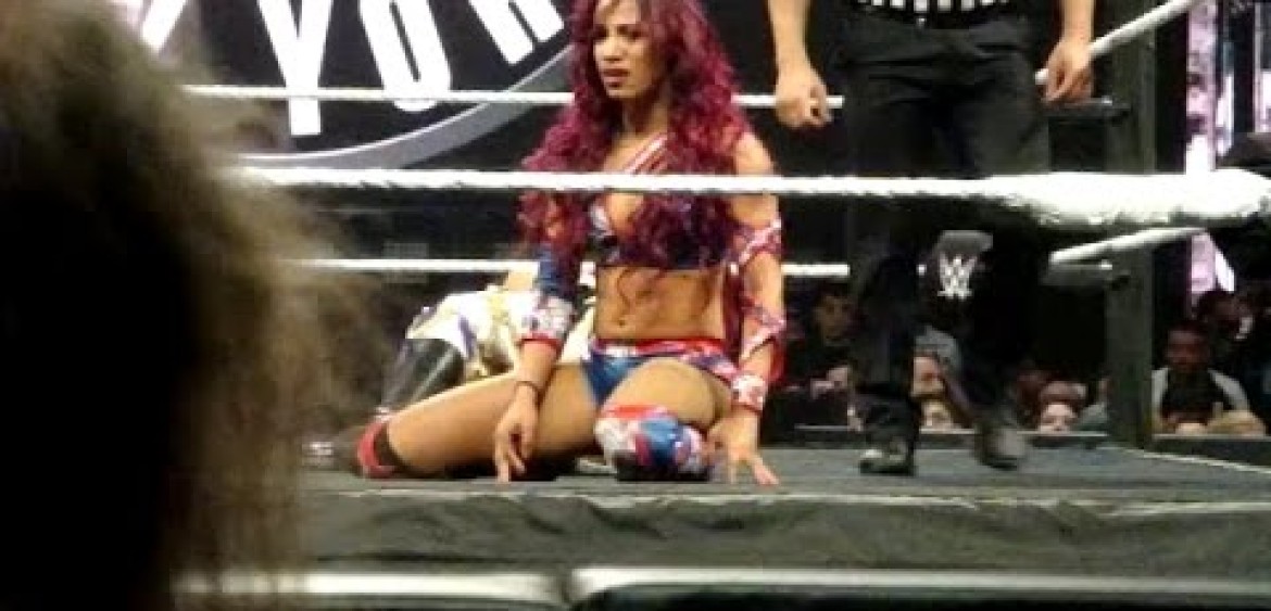 http://www.zalaphoto.com/wp-content/uploads/2015/10/sasha-banks-after-kickout-1170x563.jpg